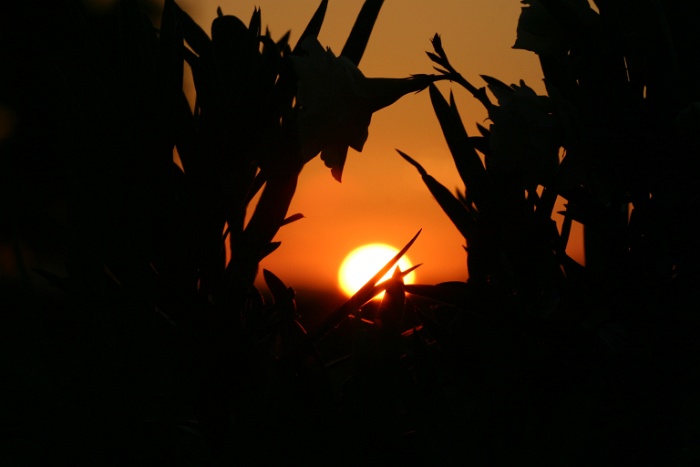 Coucher de soleil a Vias-Plage - 034